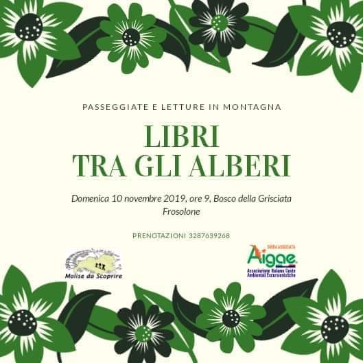 Passeggiate E Letture In Montagna Libri Tra Gli Alberi